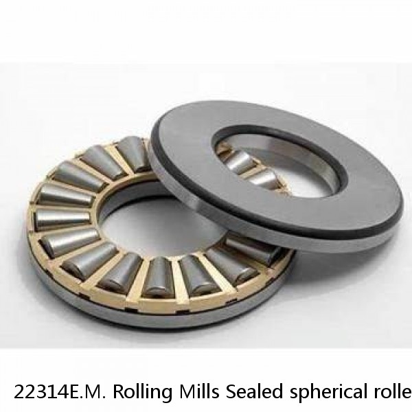 22314E.M. Rolling Mills Sealed spherical roller bearings continuous casting plants