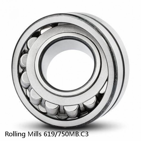 619/750MB.C3 Rolling Mills Sealed spherical roller bearings continuous casting plants