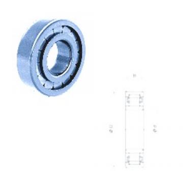 15 mm x 35 mm x 11 mm  Fersa NU202FM/C3 cylindrical roller bearings