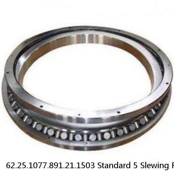 62.25.1077.891.21.1503 Standard 5 Slewing Ring Bearings