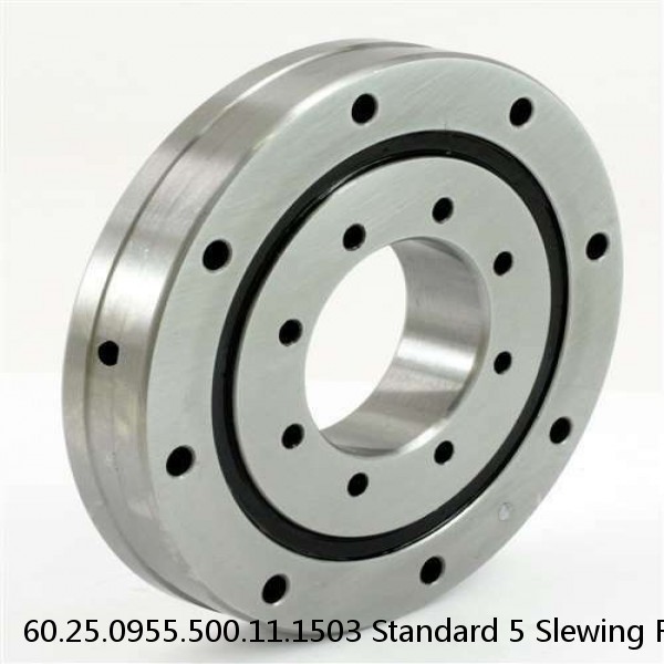 60.25.0955.500.11.1503 Standard 5 Slewing Ring Bearings