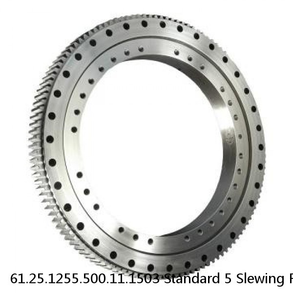 61.25.1255.500.11.1503 Standard 5 Slewing Ring Bearings