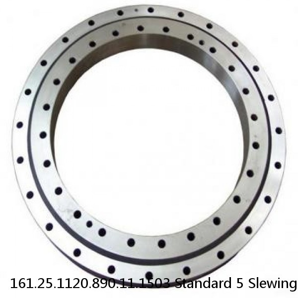 161.25.1120.890.11.1503 Standard 5 Slewing Ring Bearings