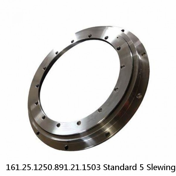 161.25.1250.891.21.1503 Standard 5 Slewing Ring Bearings