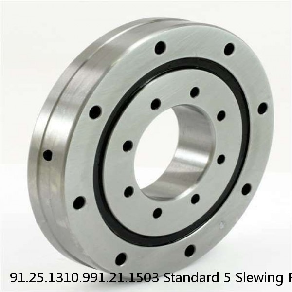 91.25.1310.991.21.1503 Standard 5 Slewing Ring Bearings