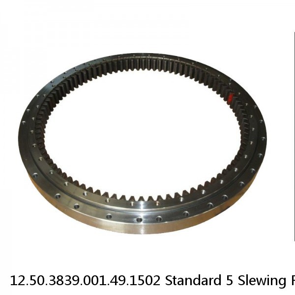 12.50.3839.001.49.1502 Standard 5 Slewing Ring Bearings