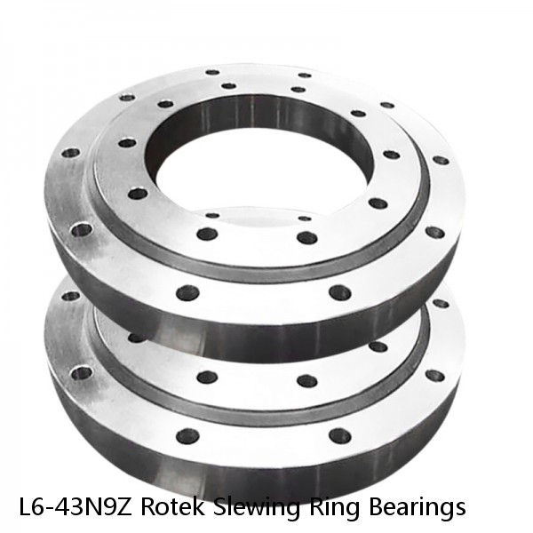 L6-43N9Z Rotek Slewing Ring Bearings