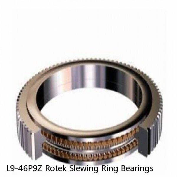 L9-46P9Z Rotek Slewing Ring Bearings