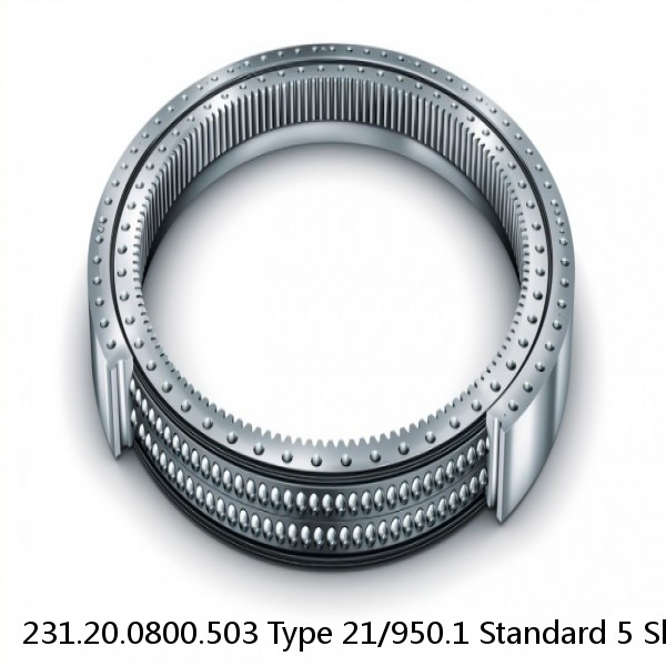 231.20.0800.503 Type 21/950.1 Standard 5 Slewing Ring Bearings