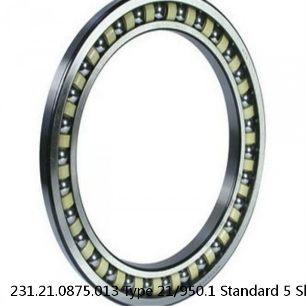 231.21.0875.013 Type 21/950.1 Standard 5 Slewing Ring Bearings