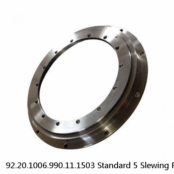 92.20.1006.990.11.1503 Standard 5 Slewing Ring Bearings