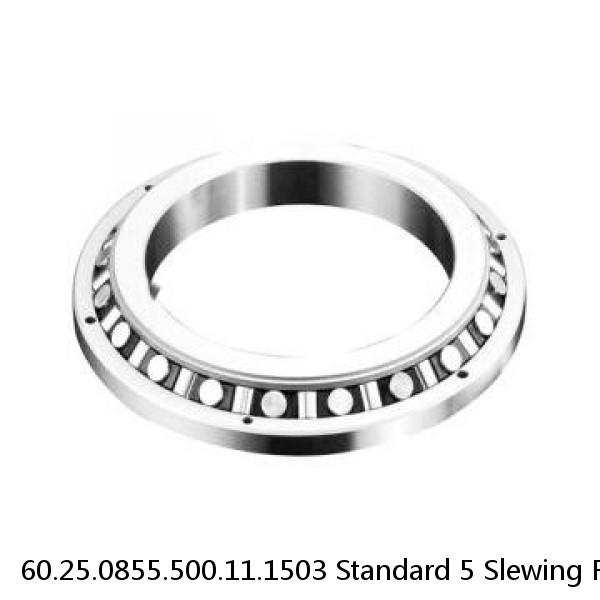 60.25.0855.500.11.1503 Standard 5 Slewing Ring Bearings