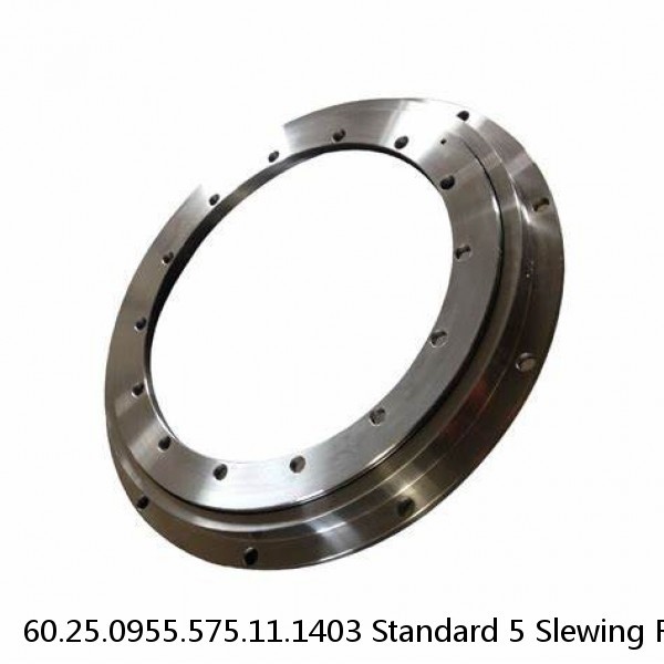 60.25.0955.575.11.1403 Standard 5 Slewing Ring Bearings