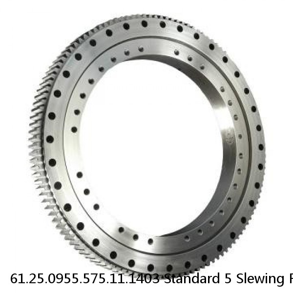 61.25.0955.575.11.1403 Standard 5 Slewing Ring Bearings