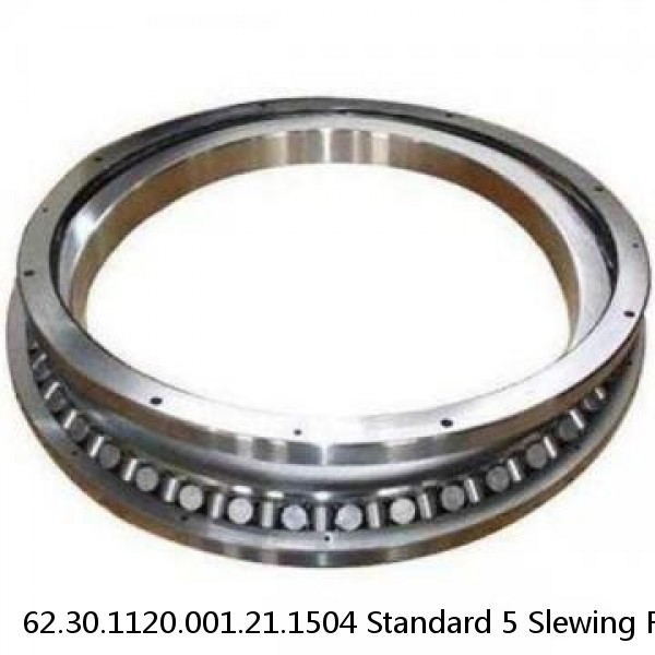 62.30.1120.001.21.1504 Standard 5 Slewing Ring Bearings