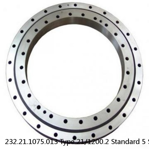 232.21.1075.013 Type 21/1200.2 Standard 5 Slewing Ring Bearings