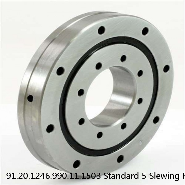 91.20.1246.990.11.1503 Standard 5 Slewing Ring Bearings