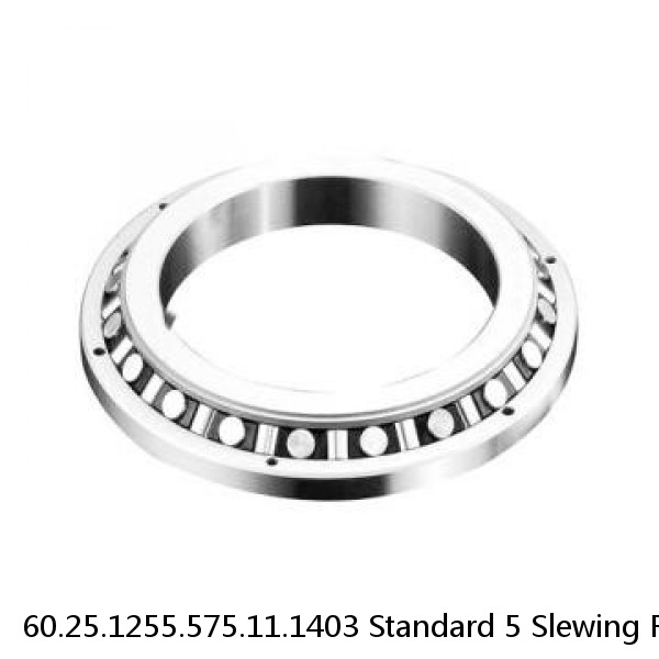 60.25.1255.575.11.1403 Standard 5 Slewing Ring Bearings