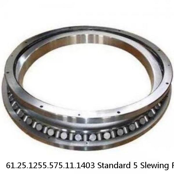 61.25.1255.575.11.1403 Standard 5 Slewing Ring Bearings