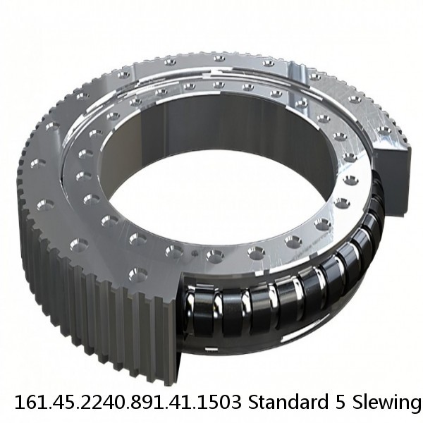 161.45.2240.891.41.1503 Standard 5 Slewing Ring Bearings