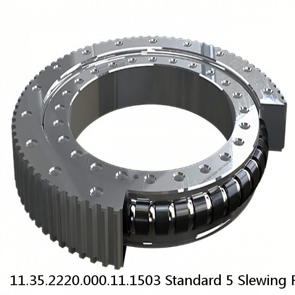 11.35.2220.000.11.1503 Standard 5 Slewing Ring Bearings