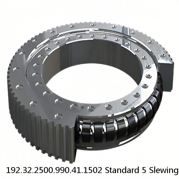 192.32.2500.990.41.1502 Standard 5 Slewing Ring Bearings