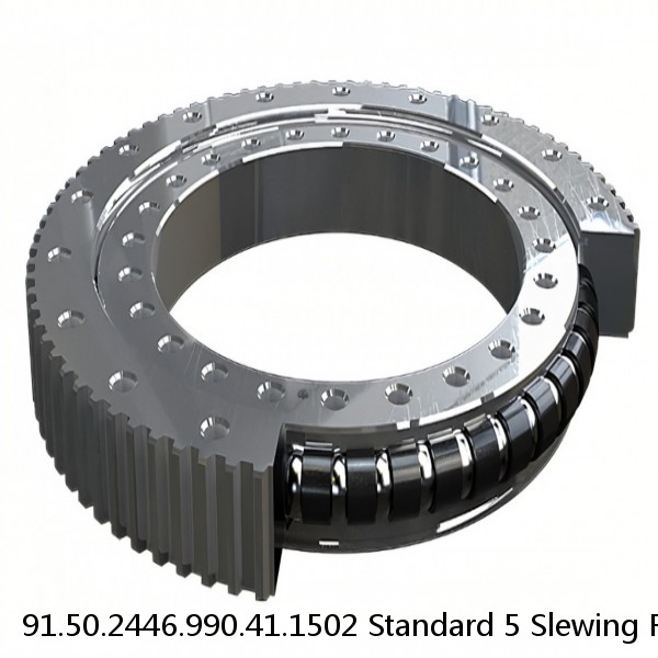 91.50.2446.990.41.1502 Standard 5 Slewing Ring Bearings