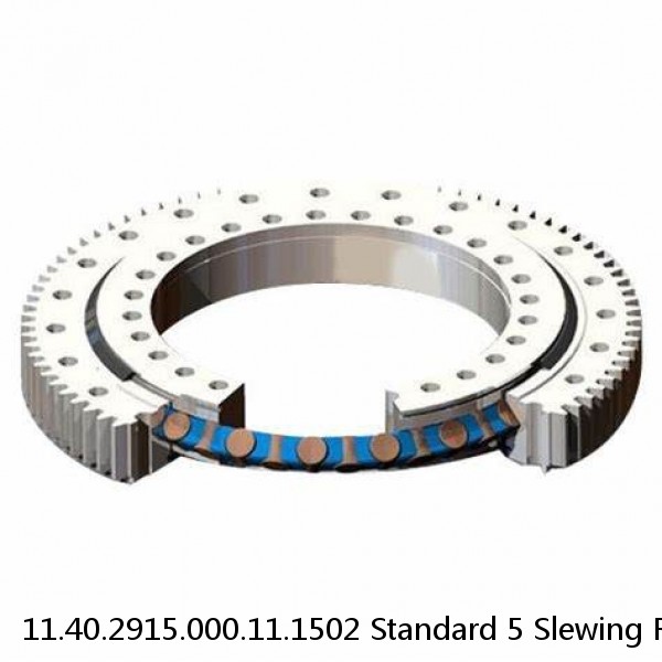 11.40.2915.000.11.1502 Standard 5 Slewing Ring Bearings