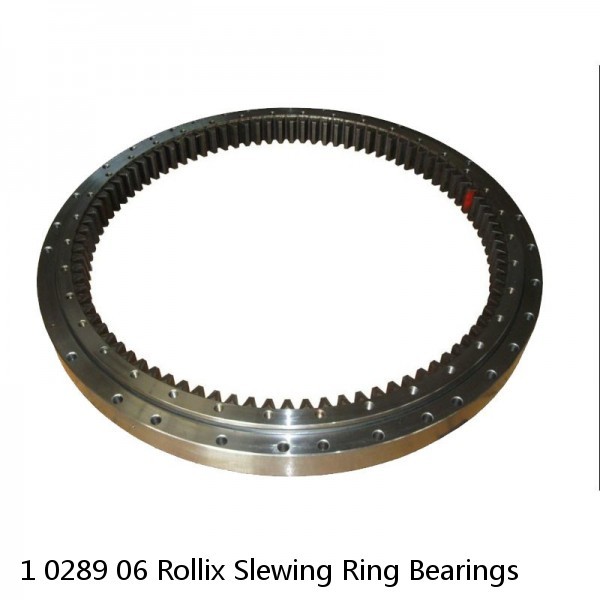 1 0289 06 Rollix Slewing Ring Bearings