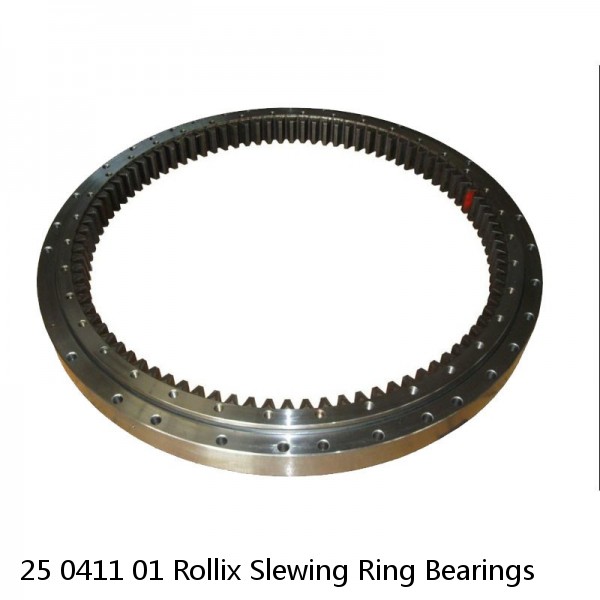 25 0411 01 Rollix Slewing Ring Bearings