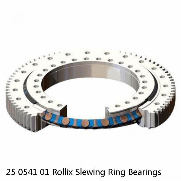 25 0541 01 Rollix Slewing Ring Bearings