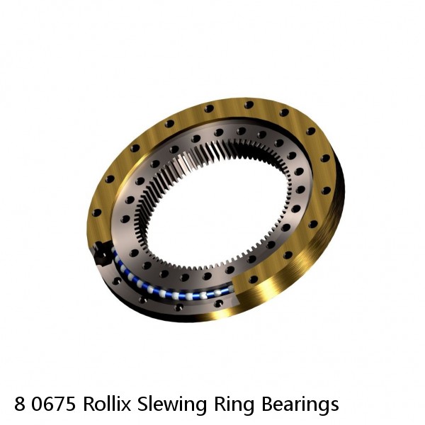 8 0675 Rollix Slewing Ring Bearings