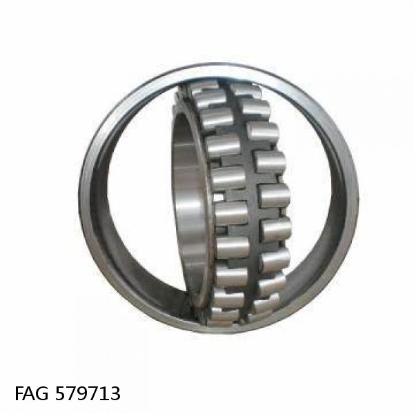 579713 FAG Cylindrical Roller Bearings