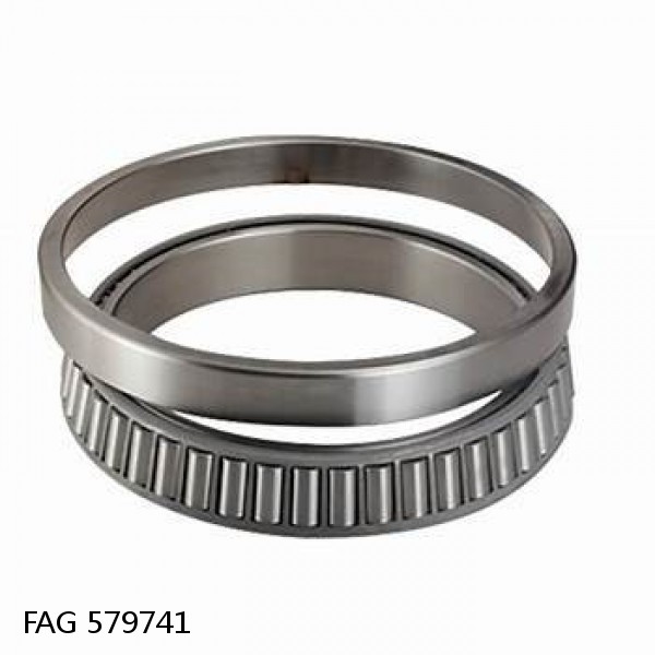 579741 FAG Cylindrical Roller Bearings