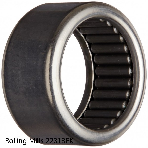 22313EK Rolling Mills Spherical roller bearings