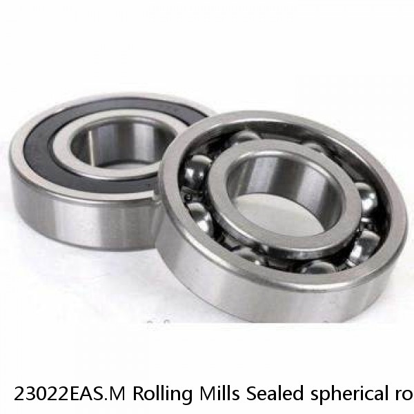 23022EAS.M Rolling Mills Sealed spherical roller bearings continuous casting plants