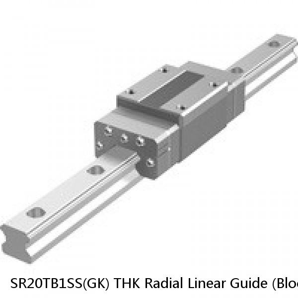 SR20TB1SS(GK) THK Radial Linear Guide (Block Only) Interchangeable SR Series